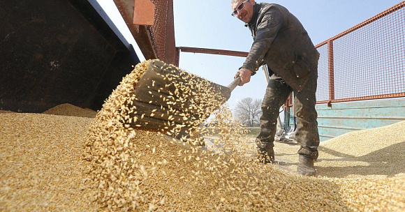В сезоне-2019/20 Trucker намерен перевезти более 1 млн тонн зерна